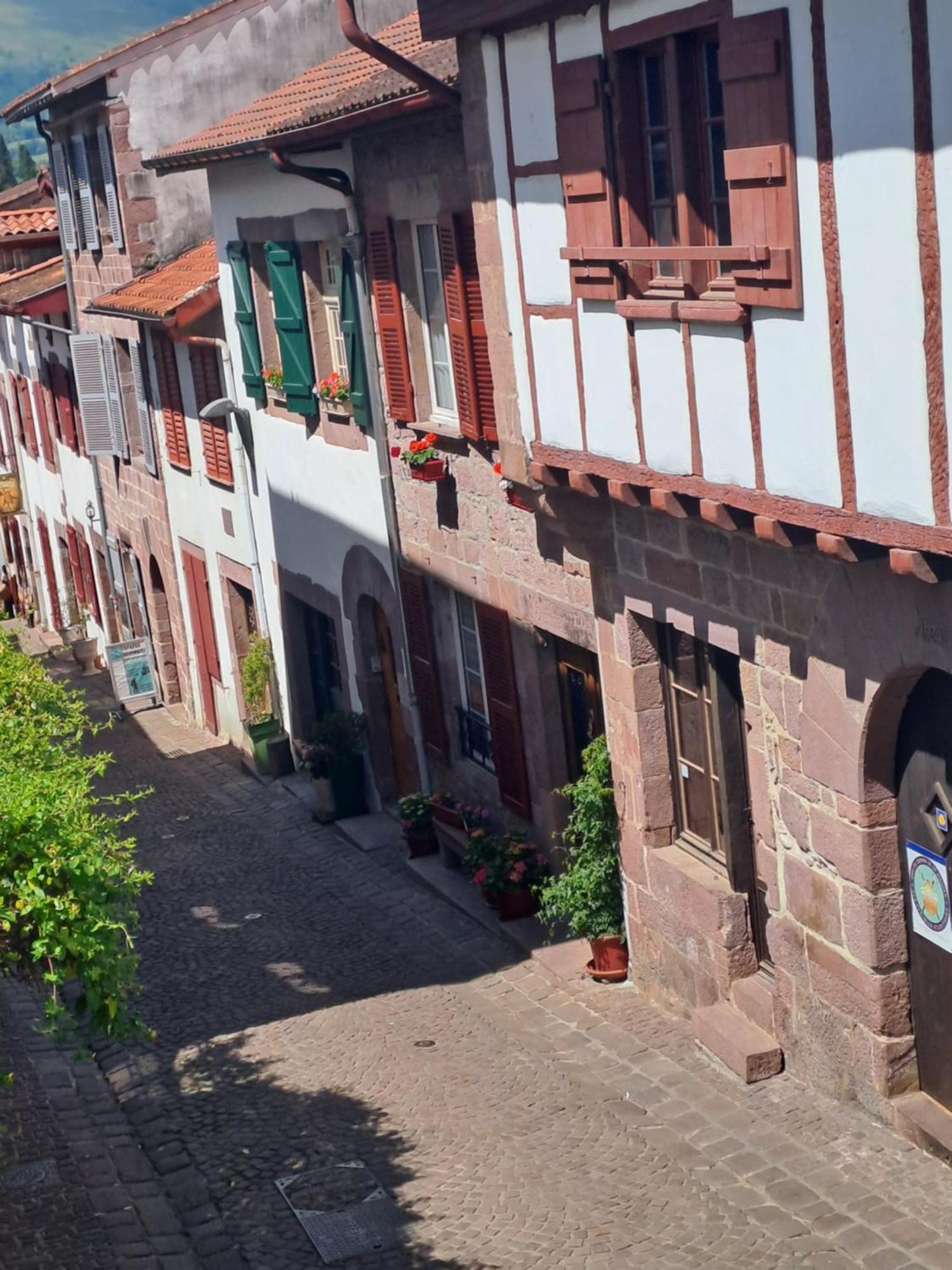 Maison Gohora Dago Saint-Jean-Pied-de-Port Dış mekan fotoğraf